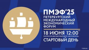 XXVIII Петербургский международный экономический форум