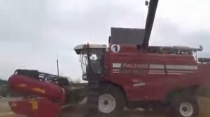 Как два хозяйства в Октябрьском районе Ростовской обл