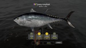 Русская рыбалка 4. Норвежское море. Фарм на новые силиконовые приманки