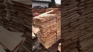 Креативная крыша