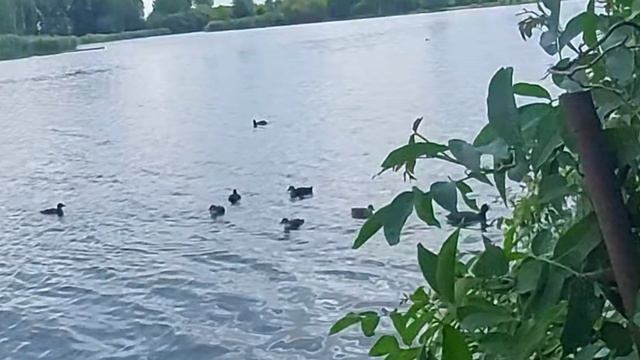 СЧАСТЛИВЫЕ ЧАСОВ НЕ НАБЛЮДАЮТ...ХОРОШЕЕ КОГДА-ТО ЗАКАНЧИВАЕТСЯ...НО БУДЕТ ЕЩЁ ЛУЧШЕ
