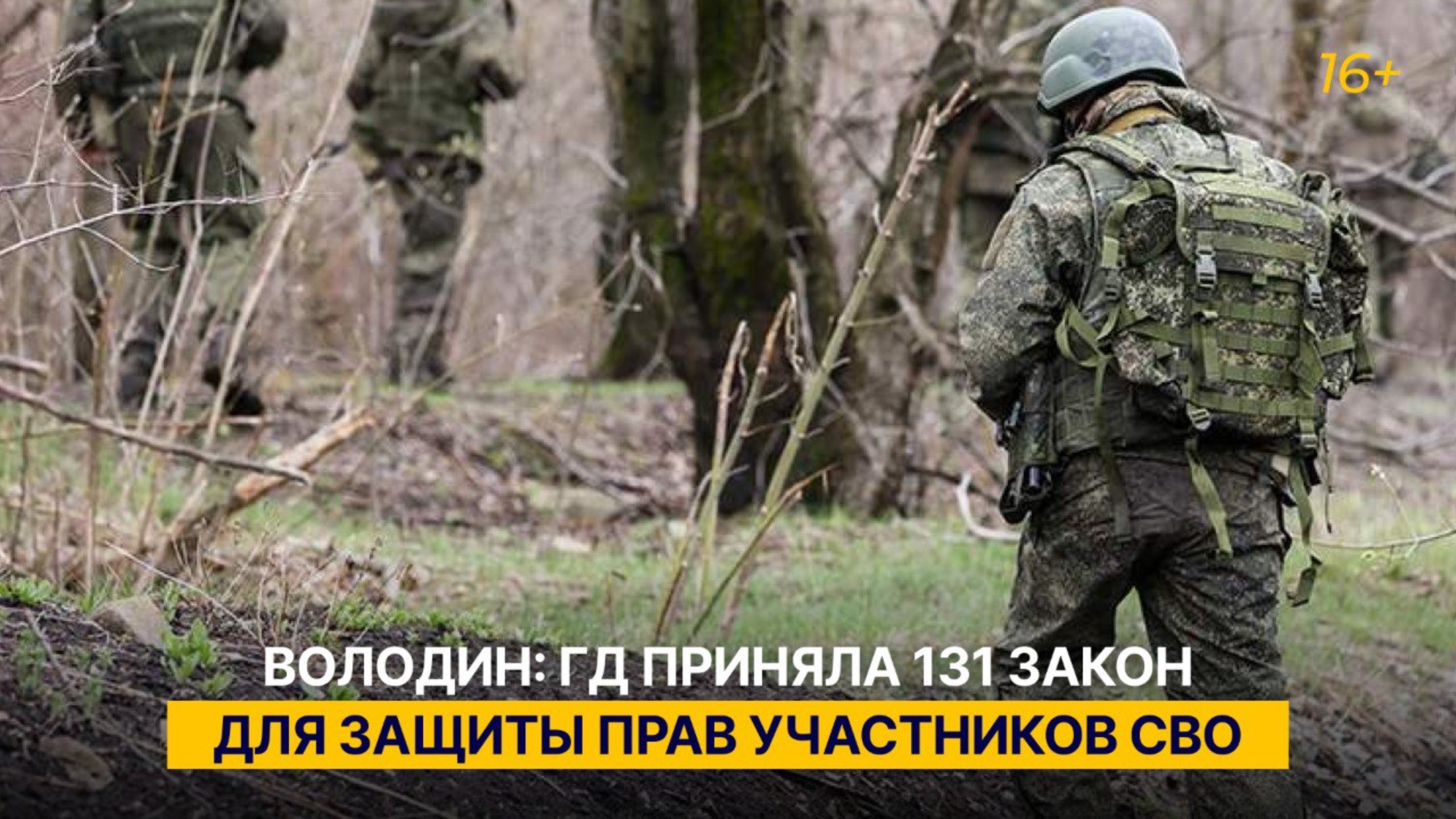 Володин: ГД приняла 131 закон для защиты прав участников СВО