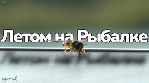 Летом на Рыбалке.