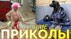 Смешные видео ПРИКОЛЫ - Лучшие ПРИКОЛЫ 2025😎САМЫЕ ЗАБАВНЫЕ ДОРОГИЕ НЕУДАЧИ