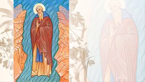 Преподобный Виссарион, чудотворец Египетский