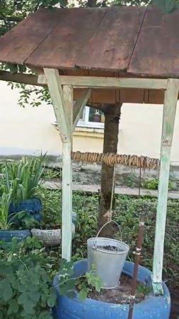 Красота у тропинки