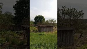 Продажа дома и участка в Лужском районе, Серебрянского поселение, деревня Новоселье, Дачная 7