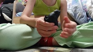 Распаковка Катофей игрушка котик из кб