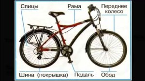 когда изобрели велосипед