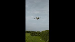 AVAST 2 пасёт mini 4😊