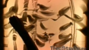 Японская и Китайская музыка на кото / Музыкант в японском стиле ♫ 琴