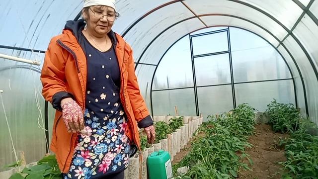 ЖИЗНЬ В ДЕРЕВНЕ БЕЗ ДУБЛЕЙ