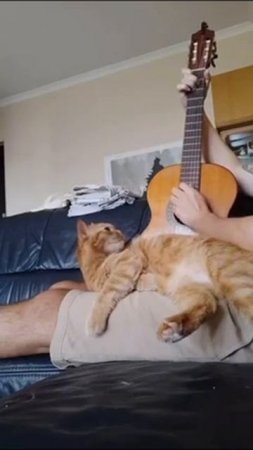 Вокальная партия удалась 🐱😁😁 (звук)