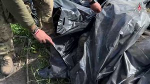 Эвакуация погибших военнослужащих ВСУ подразделениями ВС РФ