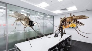 Братья москиты (true story)