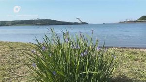 Разведка блогом / Остров Фуругельма /17.06.25