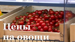 Помидоры в ЛНР стали дешевле на 15%