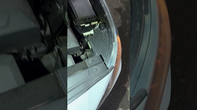 IMG_5587 смотреть онлайн