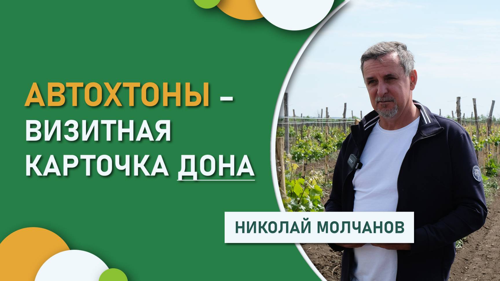 Автохтоны – визитная карточка Дона: почему Николай Молчанов сделал ставку на староместные сорта