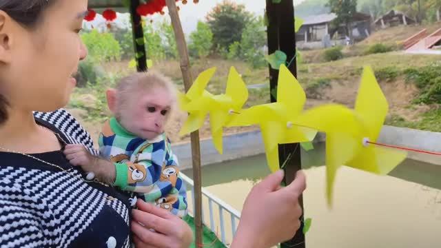 Обезьянка крошка БУКАШКА прижалась к маме Не отпускает Не хочет игрушку вертушку Милота