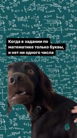 Ни одной цифры в задаче!