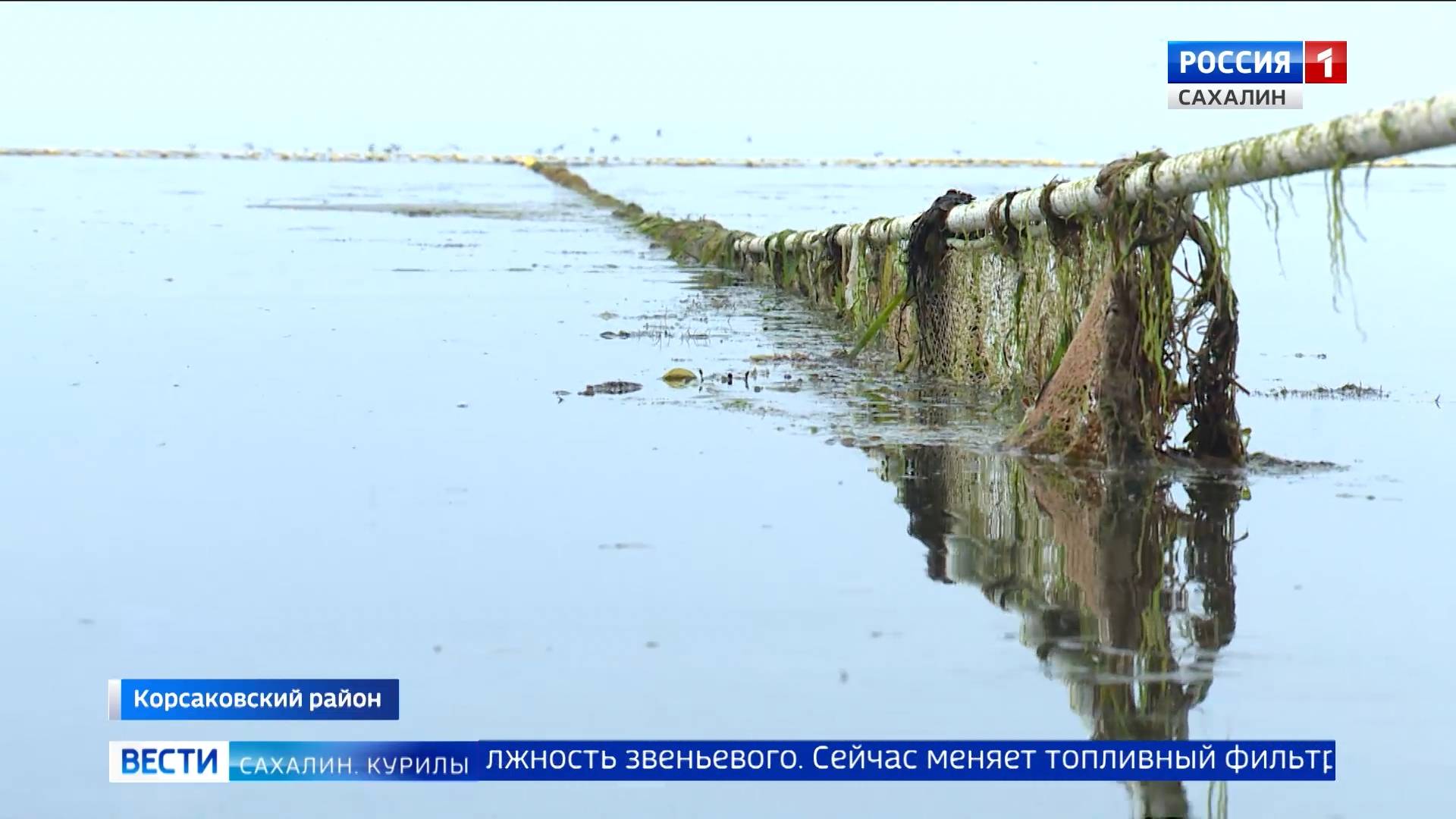 "Вести. Сахалин. Курилы". 17 июня 2025 года