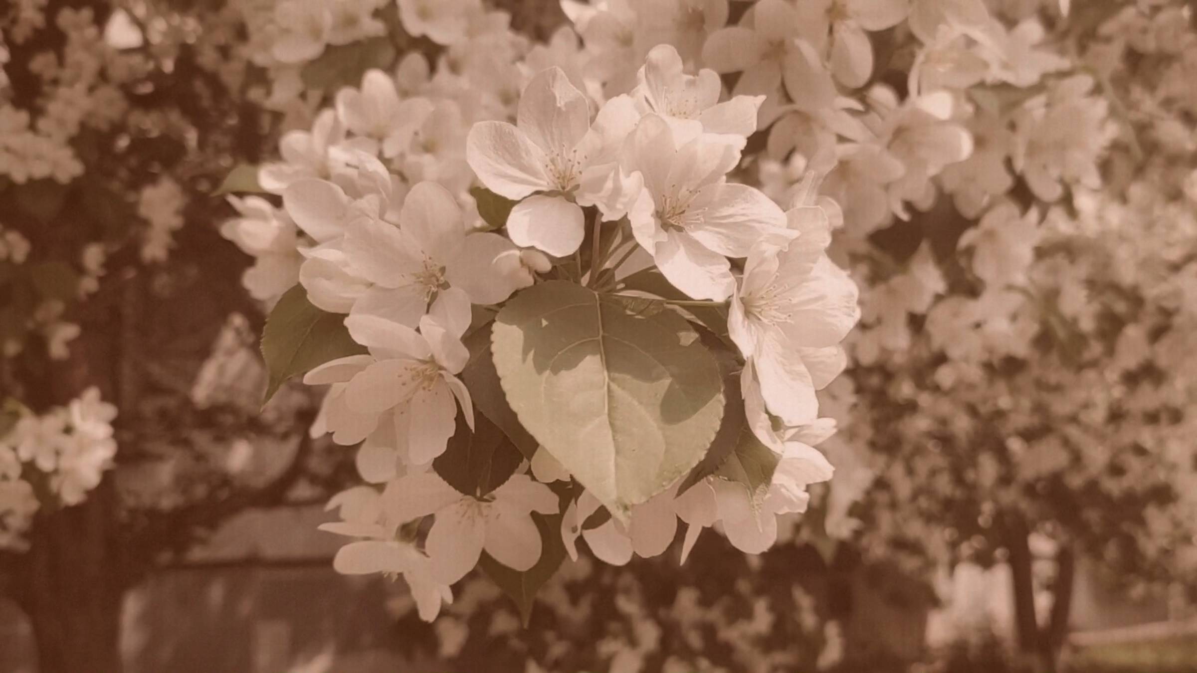 ✧✧✧Природа вокруг✧✧✧