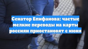 Сенатор Епифанова: частые мелкие переводы на карты россиян приостановят с июня