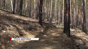 В Улан-Удэ строится целая сеть «троп здоровья» на Верхней Берёзовке