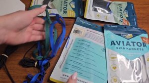 КАК ПРАВИЛЬНО ГУЛЯТЬ НА ШЛЕЙКЕ С ПОПУГАЕМ