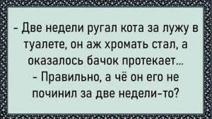 Хороший фотоаппарат Красивые фото - анекдоты #25 😂😂😂