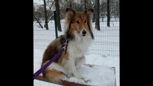 Лета 2019-2020 новый год