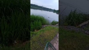 1000020318.mp4