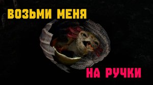 Где найти яйцо квестового зверя в Tainted Grail Fall of Avalon Rutab.net