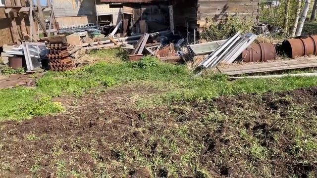 Пашем под посадку картофеля. Удивительно, какая земля!