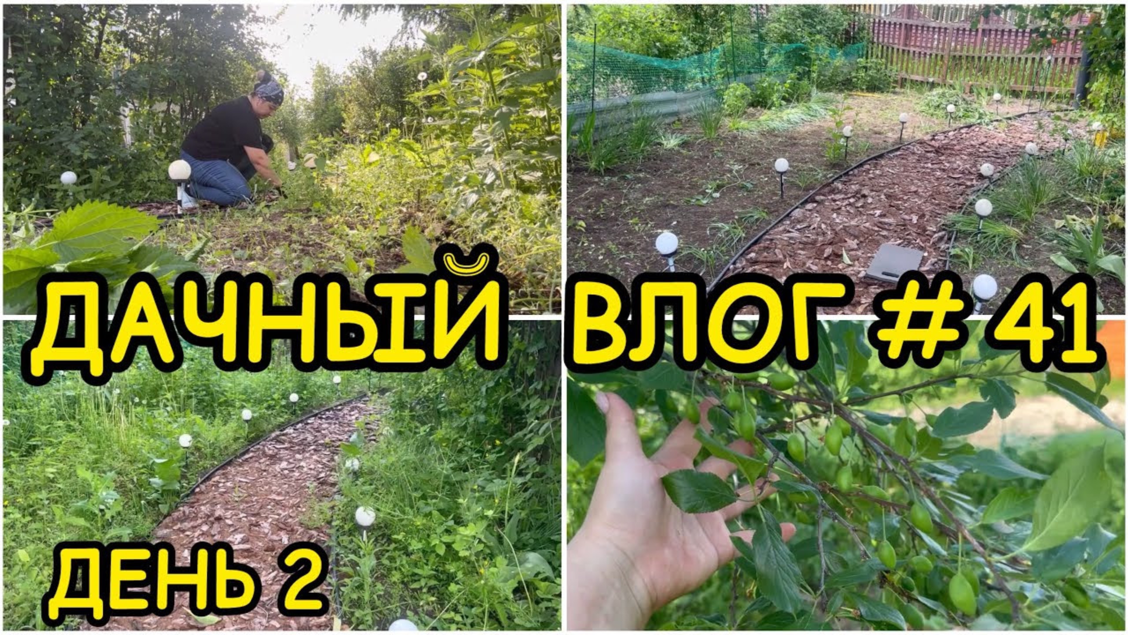 🏡 ДАЧНЫЙ ВЛОГ #41: ДЕНЬ 2 / МАСШТАБНАЯ ПРОПОЛКА УБОРКА УЧАСТКА РАБОТЫ В САДУ ПЛАНЫ НА ДАЧНЫЙ СЕЗОН