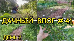 🏡 ДАЧНЫЙ ВЛОГ #41: ДЕНЬ 2 / МАСШТАБНАЯ ПРОПОЛКА УБОРКА УЧАСТКА РАБОТЫ В САДУ ПЛАНЫ НА ДАЧНЫЙ СЕЗОН