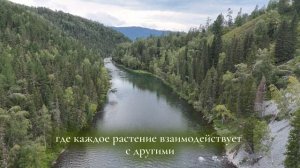 Серия подкастов "Княгинюшка" — о силе природы, минералах и травах для здоровья, красоты и гармонии