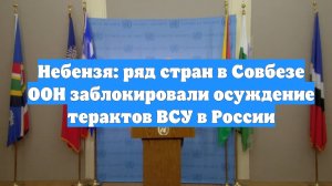 Небензя: ряд стран в Совбезе ООН заблокировали осуждение терактов ВСУ в России