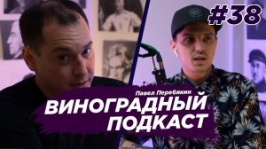 Павел Перебякин - проект Образование 2030, дистанционное обучение. Виноградный Подкаст №38
