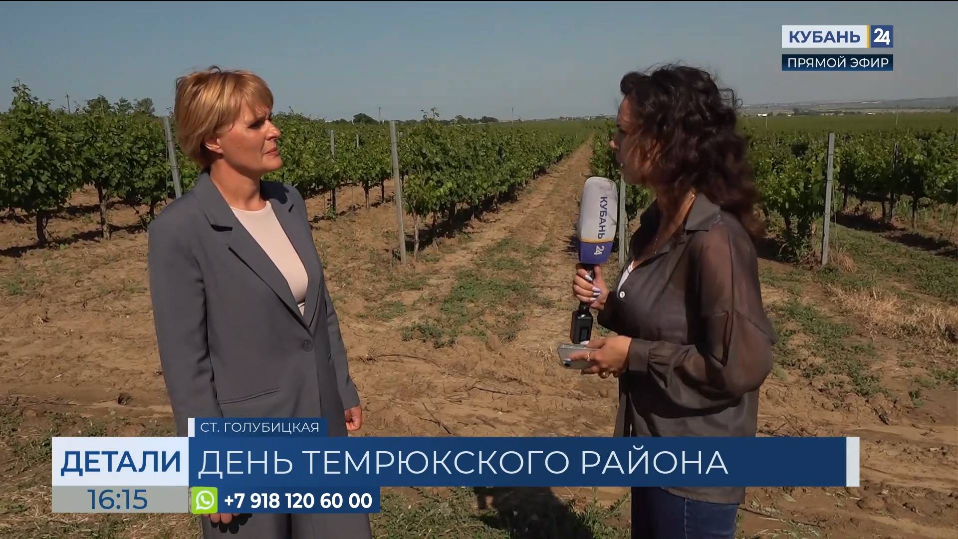 Екатерина Пожарская: за 10 лет экономика Темрюкского района выросла в 2,7 раза
