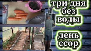 98-25! КАК Я ХРАНЮ ОВОЩИ/ИГОРЕВИЧ ЖЕЛЕЗНИТ/ТРИ ДНЯ БЕЗ ГОРЯЧЕЙ ВОДЫ\ТЕПЛИЦА/ДЕНЬ ССОР