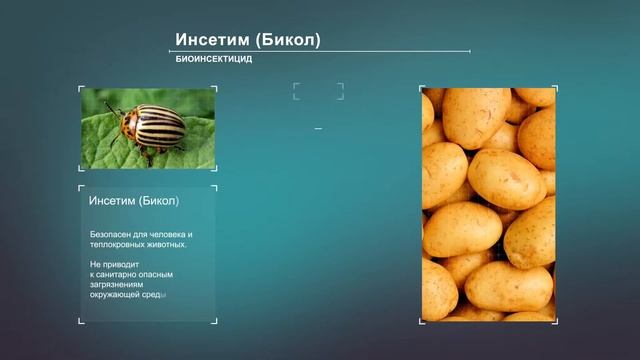 "Биопрепараты и микроудобрения от компании Биотехагро" смотреть онлайн