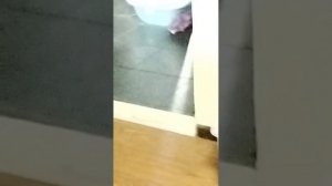 Читос раздурился по полной
