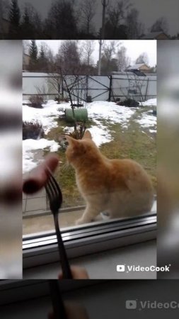 ...ХАХХАХАХАХХАХАХ