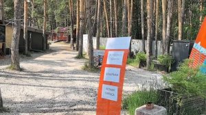 Екатеринбург. Шарташский лесопарк. 18 июня 2025 год.