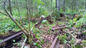 Отличный  выезд на на металлокоп  на старую УЖД!!! Вывожу с делянки 800 кг рельс и 250 кг мелочёвки