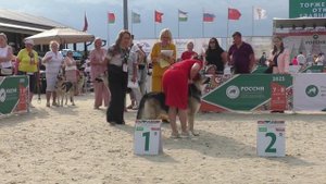 Класс ветеранов Моншер Вирсаль Фореста