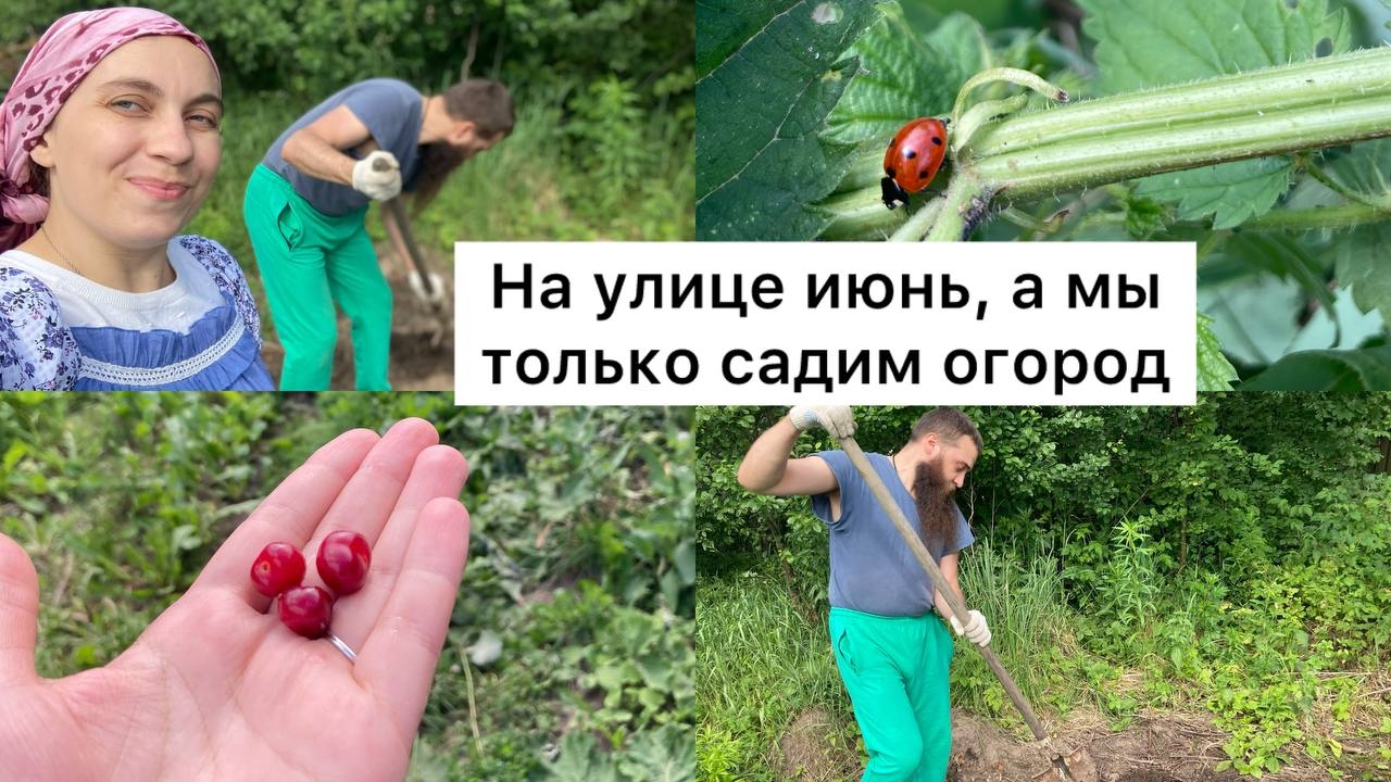 Жизнь многодетной семьи в деревне / Продолжаем садить овощи / Набираемся опыта