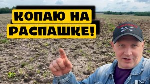 КОПАЮ НА РАСПАШКЕ!
